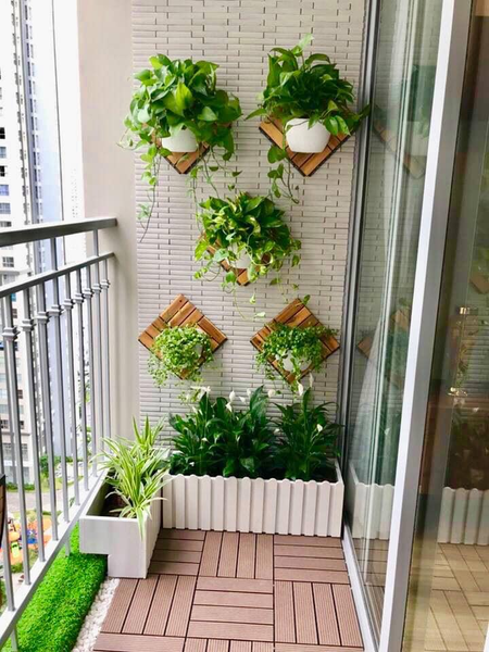 Chậu hoa treo tường: Chậu hoa treo tường là cách tuyệt vời để trang trí không gian sống của bạn. Hãy cùng khám phá những mẫu chậu hoa treo tường độc đáo và sáng tạo để tạo điểm nhấn cho ngôi nhà của bạn.
